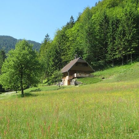 Apartmaji Brloznica Pod Veliko Planino Luče Chambre photo